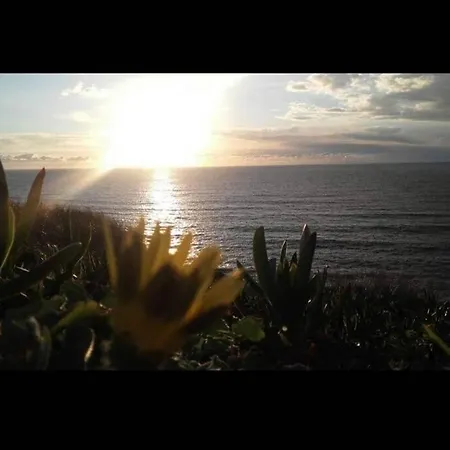 Ferienhaus A Casa Da Foz Moradia Com Vista Mar